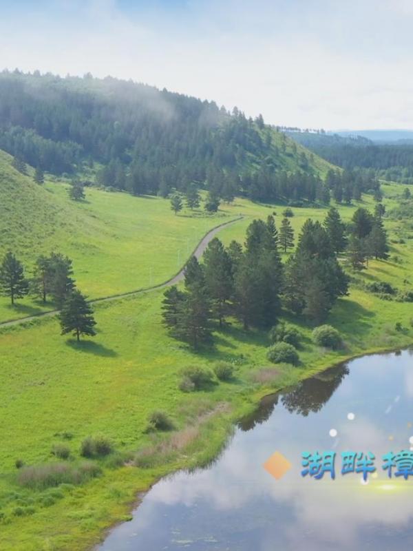 亮丽内蒙古第16期：呼伦贝尔红花尔基樟子松国家森林公园
