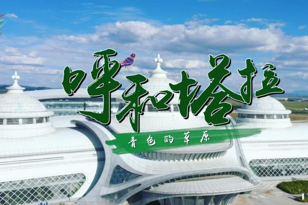 亮丽内蒙古第18期：呼和塔拉-青色的草原