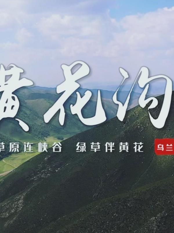 倾听内蒙古 | 初秋畅游辉腾锡勒黄花沟