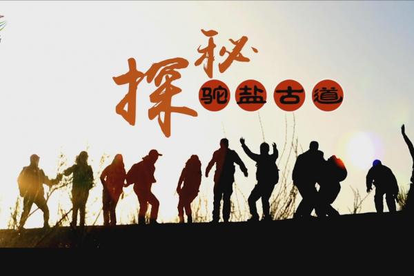 亮丽内蒙古第31期：探秘阿拉善驼盐古道