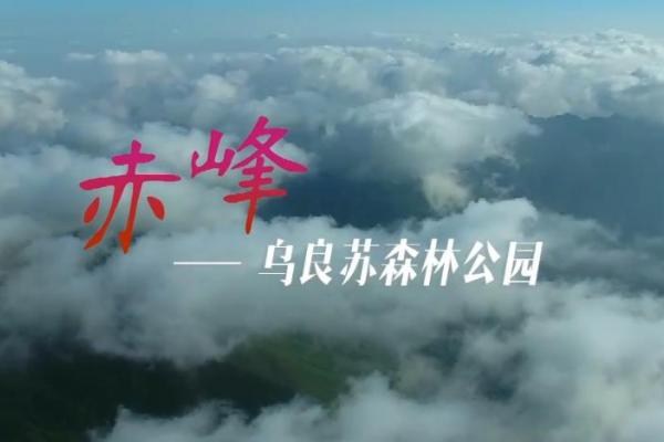 亮丽内蒙古第39期：赤峰乌良苏森林公园