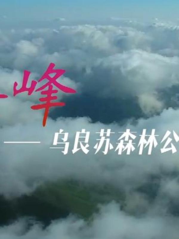 亮丽内蒙古第39期：赤峰乌良苏森林公园