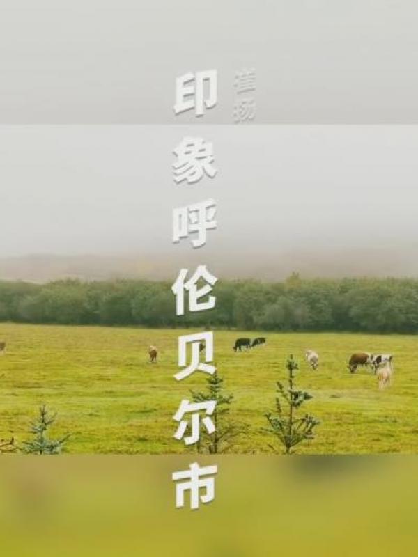亮丽内蒙古第57期：30秒带你走进呼伦贝尔看金秋