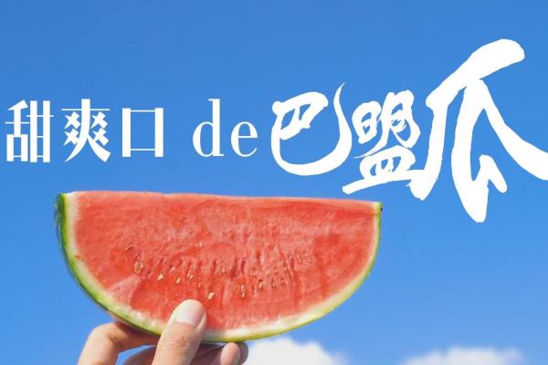 亮丽内蒙古第60期：香甜爽口de巴盟瓜