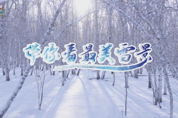 亮丽内蒙古第112期：带你去看最美雪景！