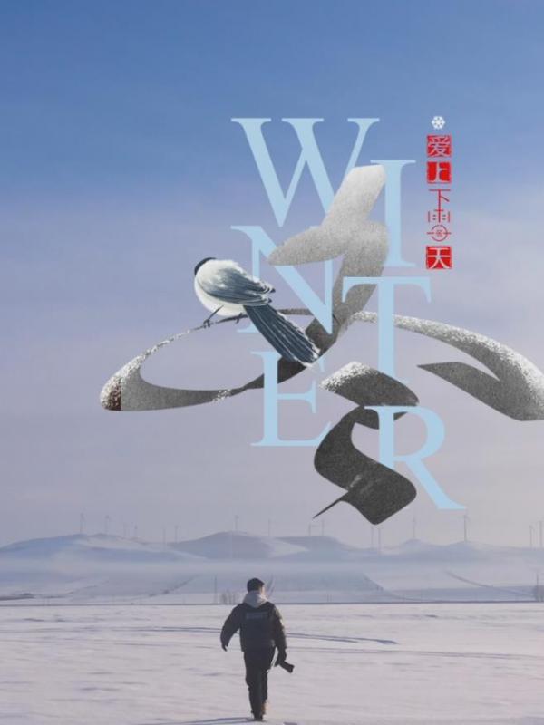 亮丽内蒙古第125期：小雪已至｜有冬要来，有雪如诗