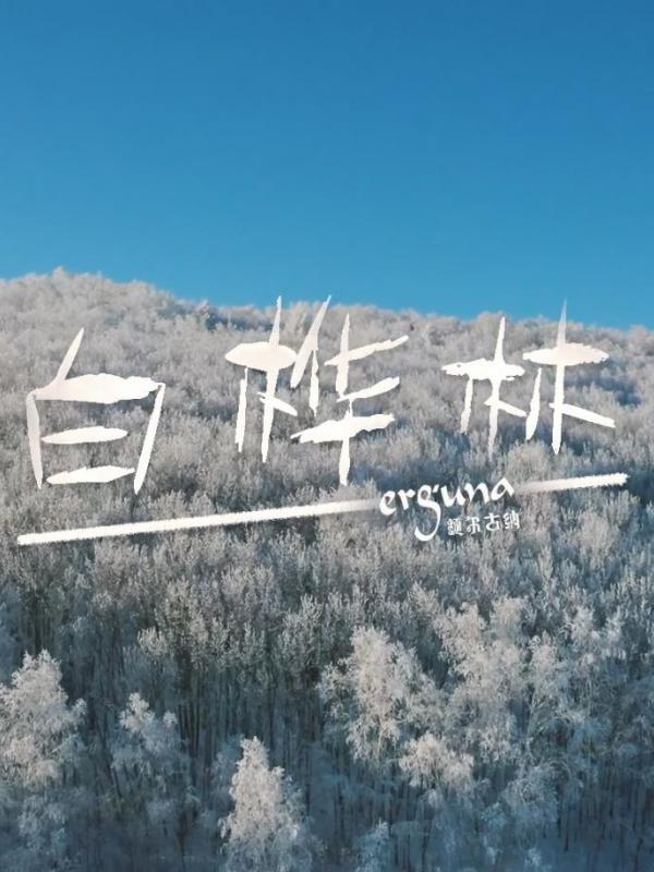 亮丽内蒙古第139期：额尔古纳白桦林