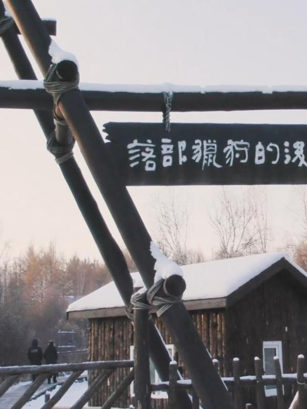 亮丽内蒙古第148期：中国的驯鹿之乡-敖鲁古雅