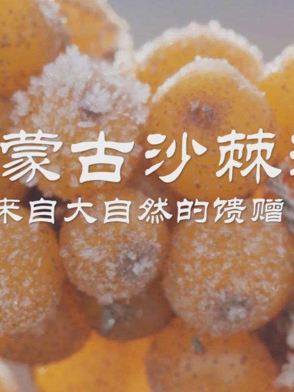 亮丽内蒙古第149期：内蒙古沙棘汁来自大自然的馈赠