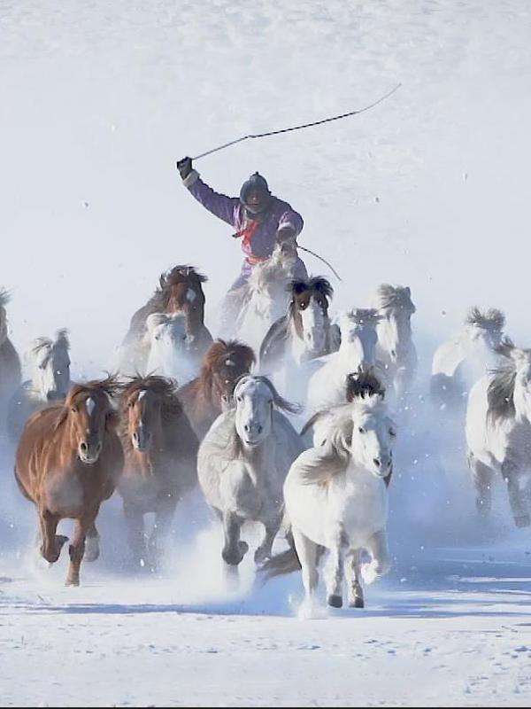 亮丽内蒙古第162期：策马扬鞭、苍茫雪原