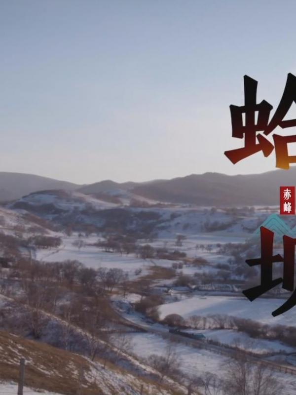 亮丽内蒙古第171期：坝上风光-蛤蟆坝