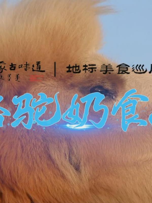 亮丽内蒙古第176期：内蒙古味道地标美食巡展非遗篇—骆驼奶食品