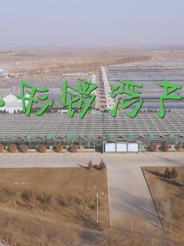 亮丽内蒙古第211期：河套·彤锣湾产业园