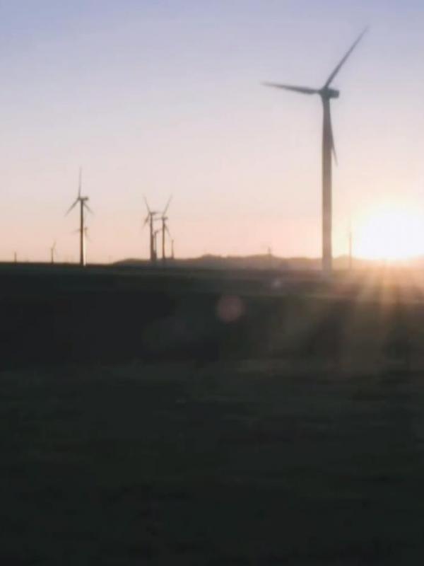 亮丽内蒙古第262期：走进达茂旗、感受绿意与自由