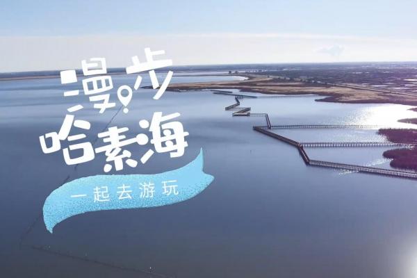 亮丽内蒙古第284期：漫步哈素海-一起去游玩