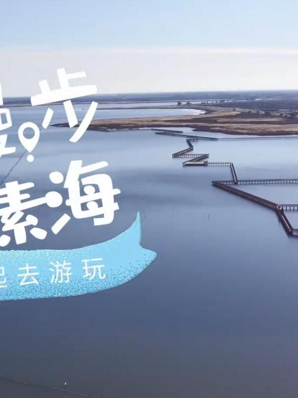 亮丽内蒙古第284期：漫步哈素海-一起去游玩