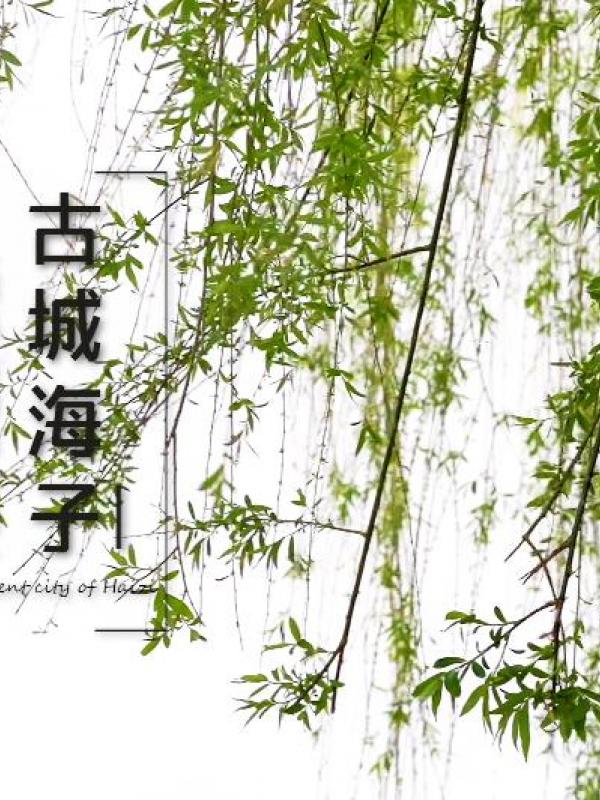 亮丽内蒙古第295期：候鸟北归嬉水间-古城海子