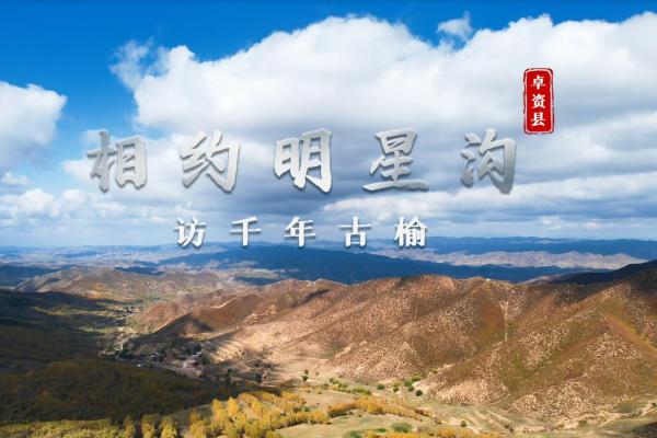 亮丽内蒙古第300期：相约明星沟-访千年古榆