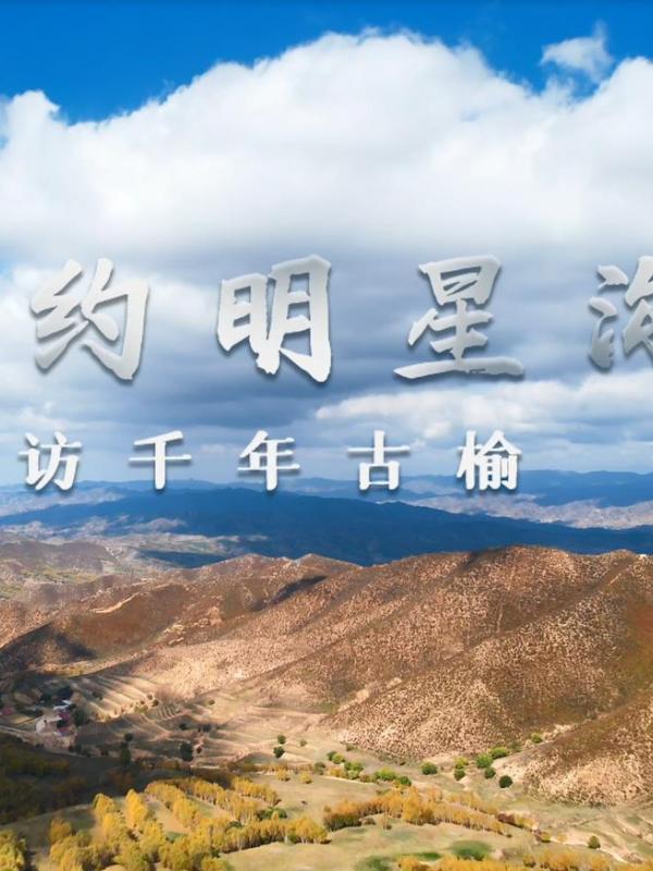 亮丽内蒙古第300期：相约明星沟-访千年古榆