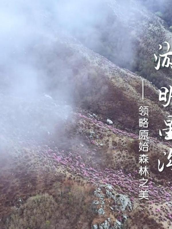 亮丽内蒙古第302期：游明星沟-领略原始森林之美