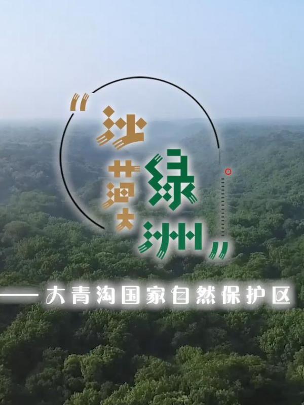 亮丽内蒙古第314期：沙漠绿洲-大青沟国家自然保护区