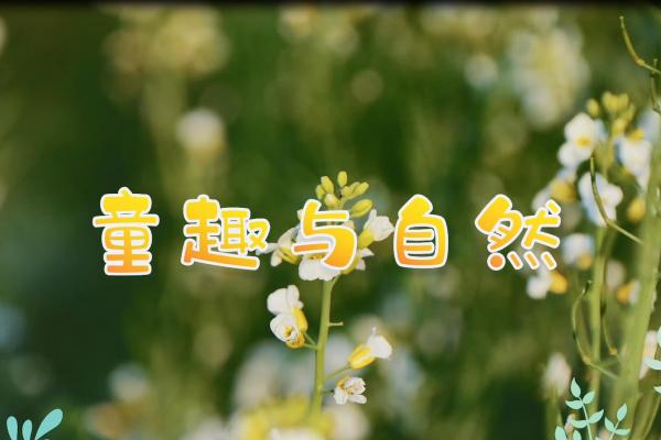 亮丽内蒙古第342期：童趣与自然