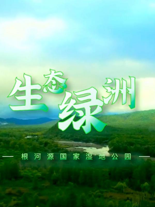 亮丽内蒙古第349期：生态绿洲-根河源国家湿地公园