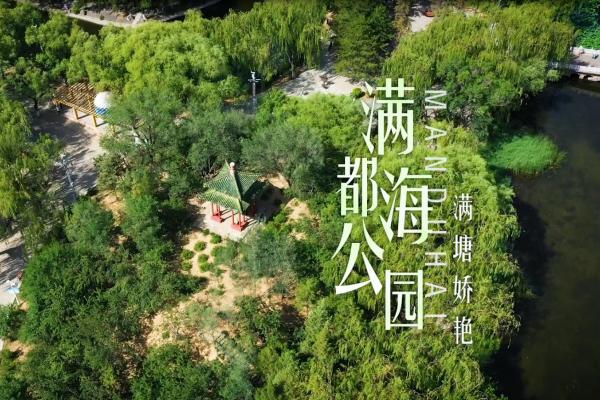 亮丽内蒙古第354期：满塘娇艳-满都海公园