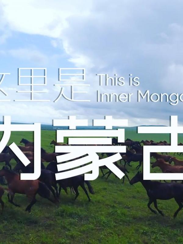 亮丽内蒙古第367期：这里是内蒙古