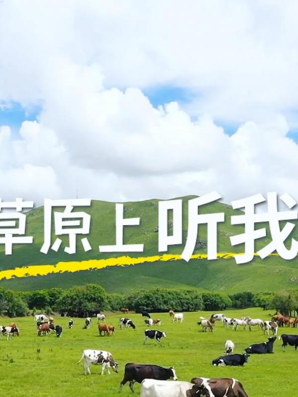亮丽内蒙古第369期：在草原上听我的