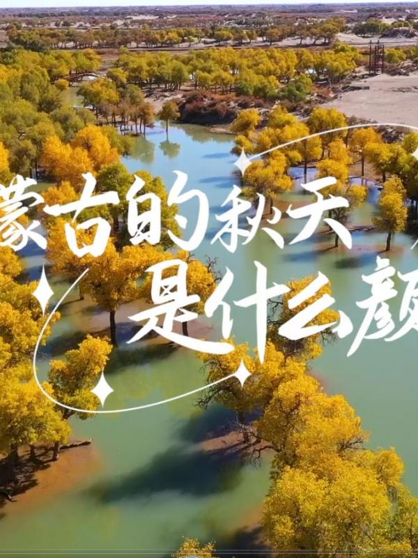 亮丽内蒙古第370期：内蒙古的秋天是什么颜色