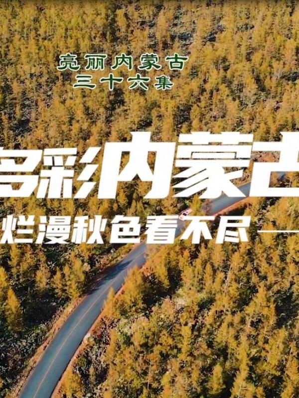亮丽内蒙古第三十六集：多彩内蒙古——烂漫秋色看不尽
