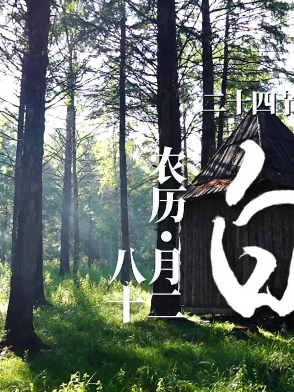 二十四节气-白露